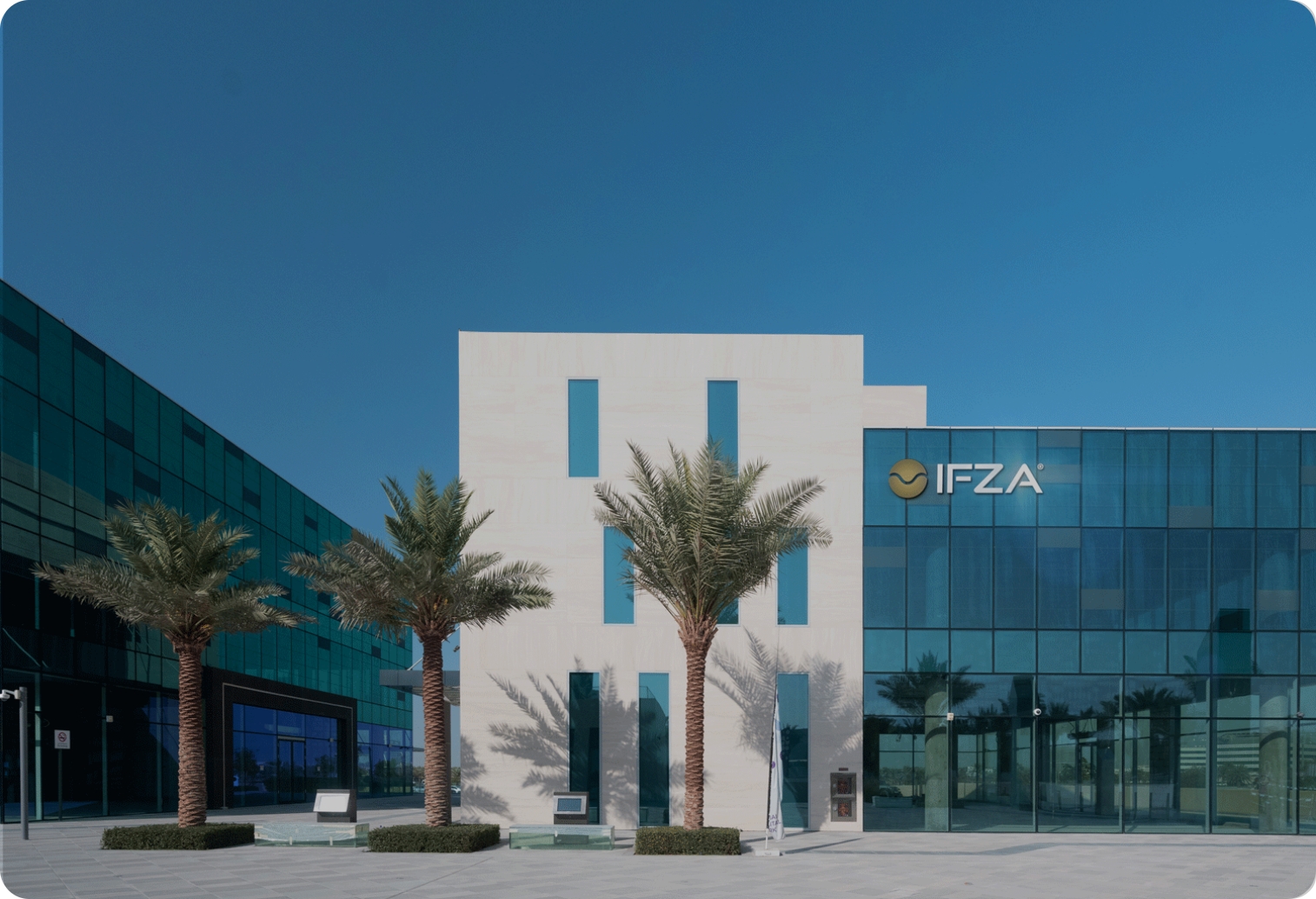 IFZA License Cost: An Overview